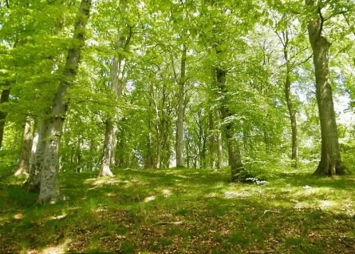 Апартаменти Celia By Interhome Sellin (Rugen)